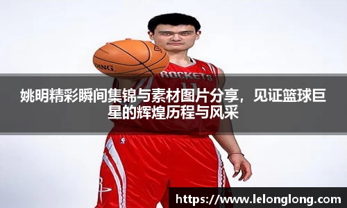 龙8国际